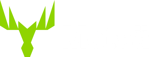 Metsäliitto Osuuskunta